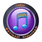 Radio Muzikaal Nederland