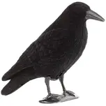 crow radio