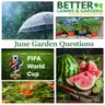 S2 Ep456: Better Lawns and Gardens - Hour 1 June Gardening Questions June 13, 2026