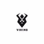 VIKING FM