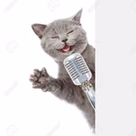 dikkehitsradio