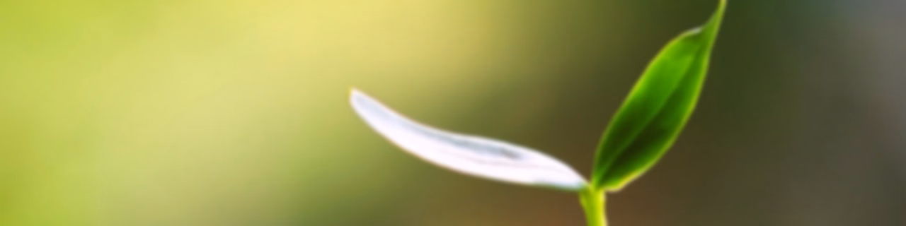 ポルノ×恋愛恐怖 克服日記ー光に向かう日々