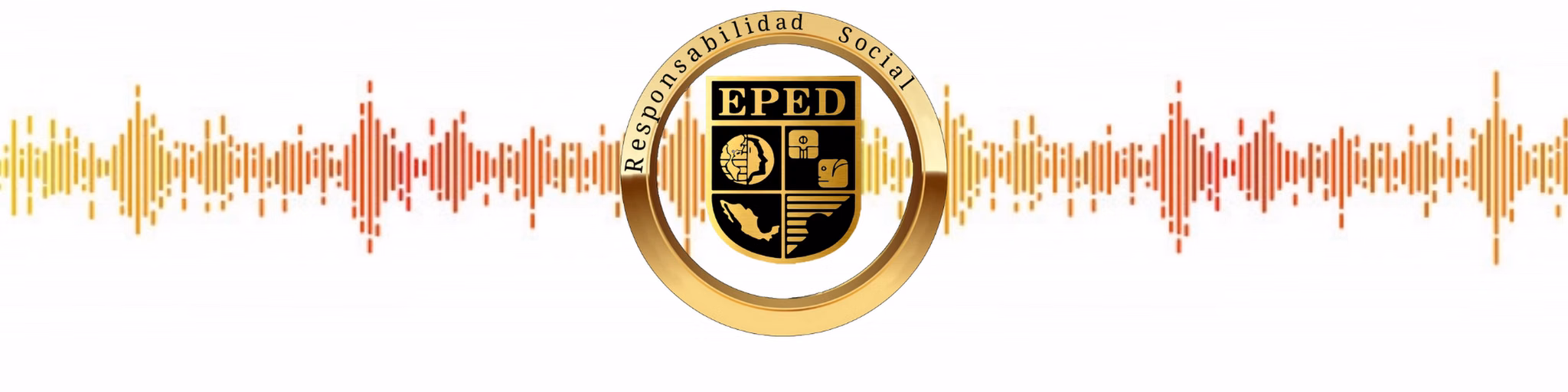 Licenciatura 12