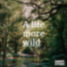 A Life More Wild