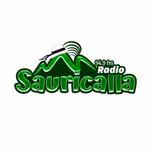 RADIO SAURICALLA