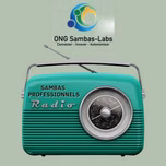 RADIO LES SAMBAS PROFESSIONNELS