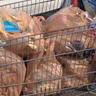 Supermarchés de Niamey : vers une réduction des emballages plastiques( Magazine)