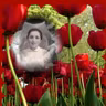 Lindo Fado