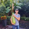 Overcoming gardening challenges with David Stack