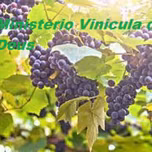 Radio vinicula de Deus Web app
