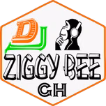 Dj Ziggy Bee Pro