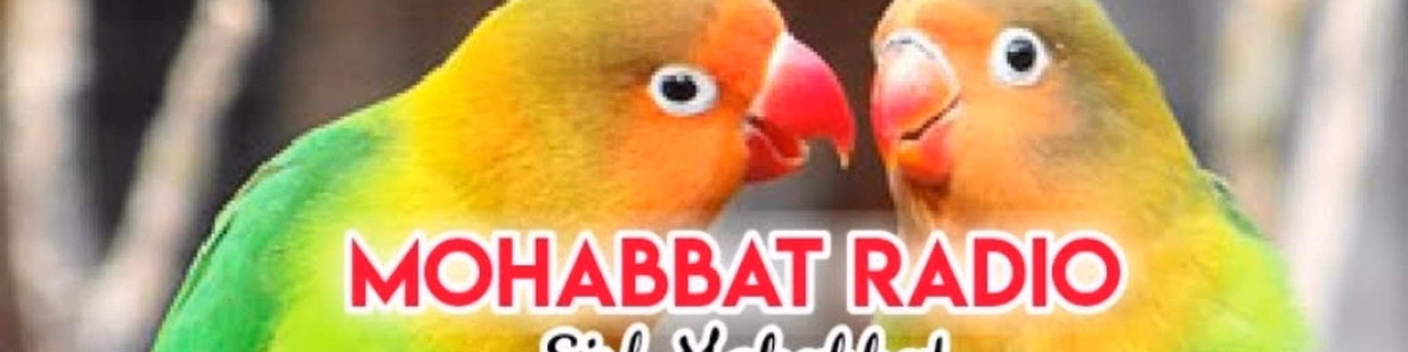 Mohabbat Radio