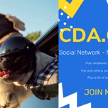 cdaone