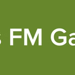 Vibes FM Gambia