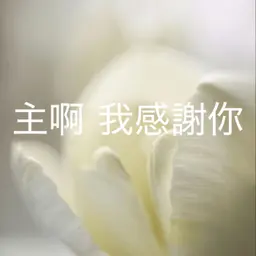 529【主啊,我感謝你】