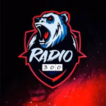 Radio 300