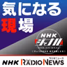 「ＩＣＣ赤根所長への制裁撤回を　超党派議連」