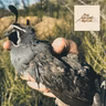 70: California Upland with Pete Burnham