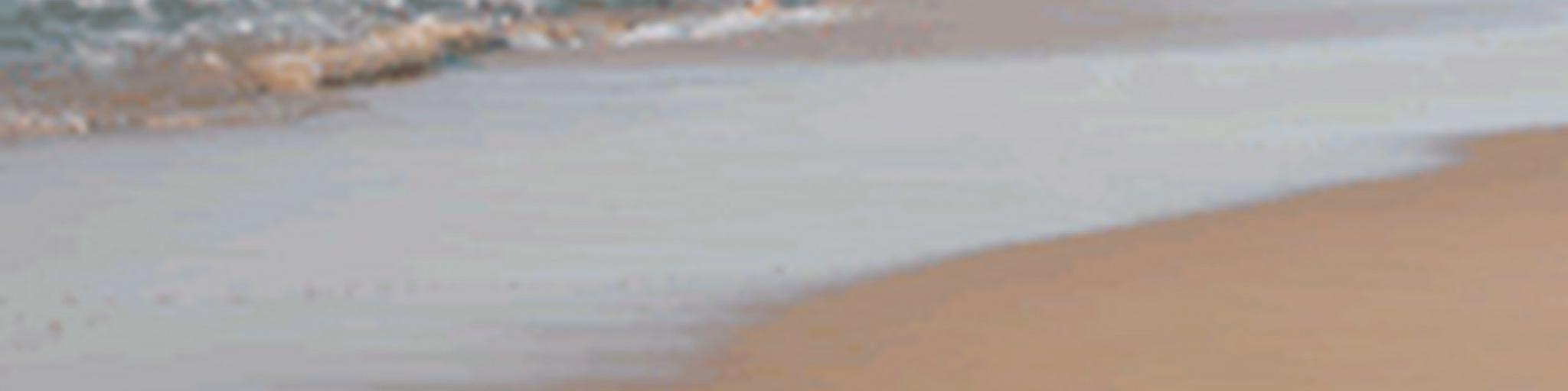 teddungal