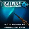 SPÉCIAL Posidonie 4/5 : Un trésor ravagé par les ancres des bateaux