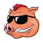 92.3 The Hog - WHHG