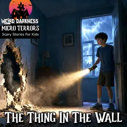 THE THING IN THE WALL: My First and Last Time House-Sitting