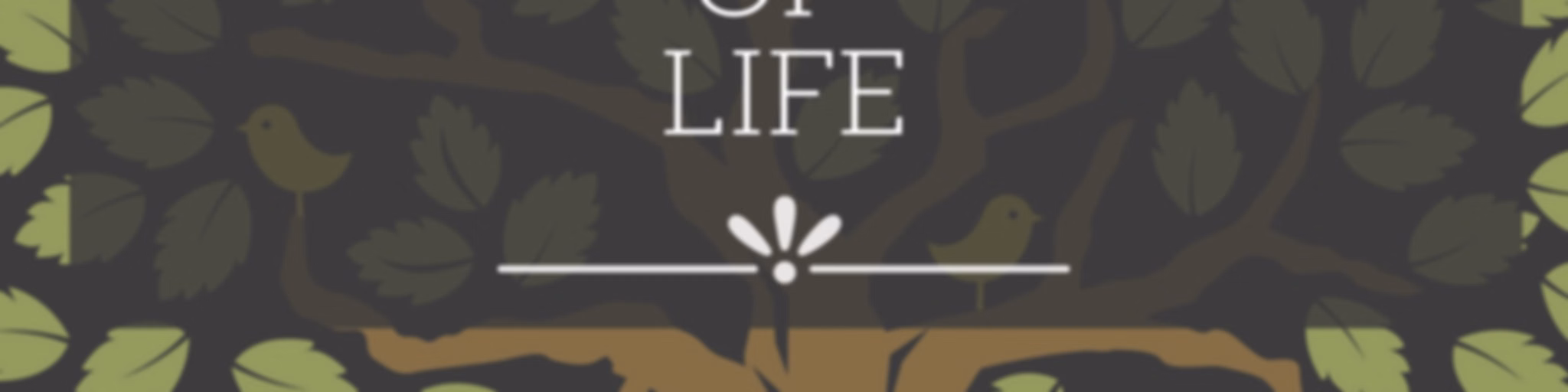 The Third Cord International Ministries