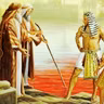 Jehovah's Name to Be Declared in All the Earth