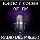 7 VOCES RADIO PLUS