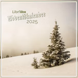 Adventskalender 2025 by Various