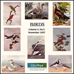 Birds, Vol. II, No 5, November 1897 by Various