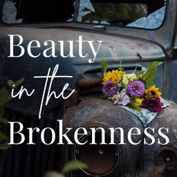 Beauty in the Brokenness- Christian Women (Bible Study, Faith, Sexuality, Freedom from Shame)