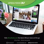Africa Review S1-2020