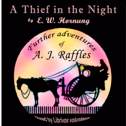 Thief in the Night - Version 2