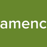 flamenco