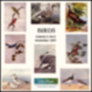 Birds, Vol. II, No 5, November 1897 by Various