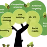 India's Top SEO Service Provider