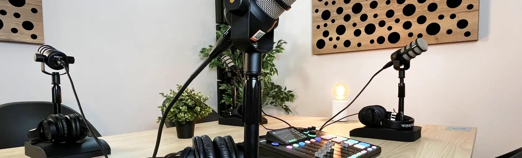Radio Tele Radical