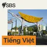 Bản tin tối 05-08-2026