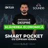 Episodul 31 - Despre scăderea economică