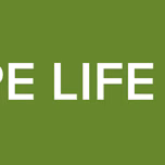 DOPE LIFE  FM