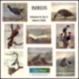 Birds, Vol. III, No 3, March 1898 by Various