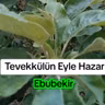 Mevla İle Eyle Pazar