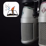 RADIO A LA LUZ DE LA PALABRA