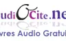 Livre audio gratuit : Les Batailles du Mariage-3-Marié par les prêtres 15