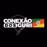 radio conexao dos guri