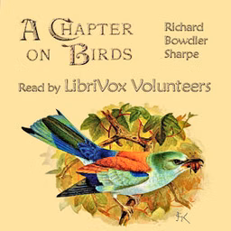 Chapter on Birds, A by Richard Bowdler Sharpe (1847 - 1909)