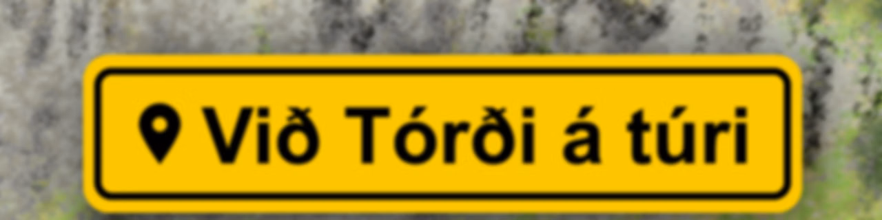 Við Tórði á túri