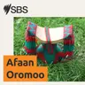 Ob Abdallaa Sheekaa fi ob Bantii Ol'iiqaa lakkoofsa ummataa - Census ilaalchisee