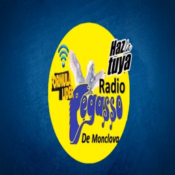 Radio Pegasso De Monclova (Saltillo)